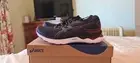 Asics Gel Nimbus 24 womens shoes, size 7.5 US, brand new in box