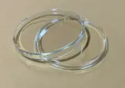 250 - H40 AirTite Holders American Silver Eagle Capsules 40mm ASE Coin Storage