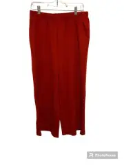 Eileen Fisher Cinnabar Wide Cropped Scandi Chic Capsule Women’s Pants Medium