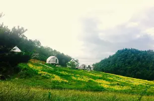 阿依山櫻花大草原帳篷酒店