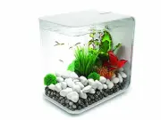 BiOrb FLOW 15 Liter (4 Gallon) w/ LED Fixture 12.4 x 8.2 x 11.8 inches