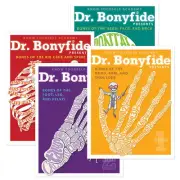 Know Yourself 206 Bones of the Human Body by Dr. Bonyfide 4 Book Set (KWYDRB4BB)