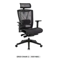 在飛比找PChome24h購物優惠-【ERGO CHAIR 2】 5001HBG (全網面設計-