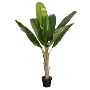 [Florabelle Living] Potted Banana Plant 150Cm