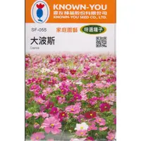 在飛比找蝦皮購物優惠-大波斯【農友種苗】農友種苗 大波斯 Cosmos(特選種子)