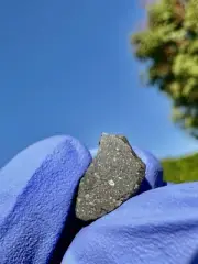 meteorite:Hassi Khebi 001:Weight 1.381 Grams:: Gorgeous Endcut, Rare Type