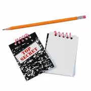 Top Secret Spiral Notebooks, Stationery, 24 Pieces