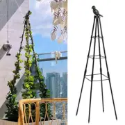 Garden Plants Support fiberglass Flowers Trellis Climbing Frame Rose Vine Stand