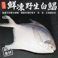 在飛比找momo購物網優惠-【三頓飯】鮮嫩野生白鯧魚(7尾組_220-280g/尾)