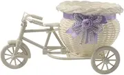 JISADER Woven Mini Bike Basket Flower Basket Vase Tricycle Planter Plant Rack for Take Photos