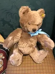 steiff teddy bear, growler, mass 73, vintage, not used by children
