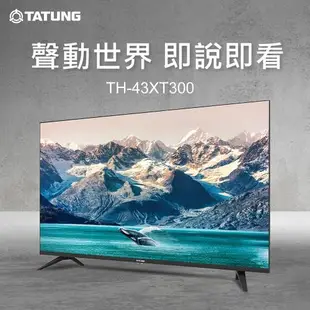 【TATUNG 大同】43型 11.0智慧聯網液晶顯示器(TH-43XT300)