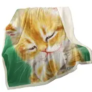 Cute Tempting Ginger Cat Drawing Throw Blanket