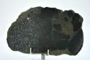 24.08g H5 Chondrite Melt Breccia Meteorite Slice I NWA 12924 - TOP METEORITE