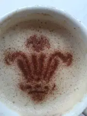 Welsh three feathers coffee / cappuccino stencil reusable many time gift Wales