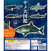 在飛比找蝦皮購物優惠-『Vic Toy』 ASOBI研究所 鯊魚大圖鑑 大白鯊 鯨