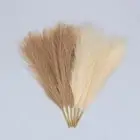 Faux Pampas Grass - 17.7" 6 Bunches 3 Beige and 3 Taupe Brown Fluffy Artifici...