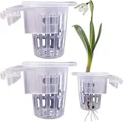 Aquatic Plant Pot | 2 Aquarium Pothos Holder | Fish Tank Plant Pot with Holes, Transparent Aquarium Poth-os Holder for Aquatic Plant Cultivation, Water Feature Decoration