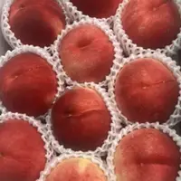 在飛比找蝦皮商城優惠-明年見【精選日本和歌山水蜜桃】山形桃 少量 日本公認 好吃的