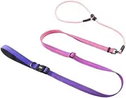 Multifunctional Hands-Free Dog Leash, Reflective Leopard Pattern, Anti-Slip Buckles, Adjustable Waist or Shoulder Wear (Pink)
