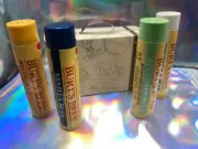 Burt's Bees Classic Lip Balm 4 Count limited edition travel suitcase display box