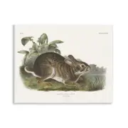 Vintage Cottage Hare Wall Plaque Art Design by Wild Apple Portfolio