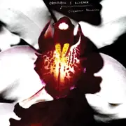 Chrystabell & David Lynch Cellophane Memories (Clear Vinyl) Vinyl