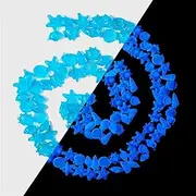 Glow in The Dark Pebbles Garden Pebbles Glow Stones Rocks Luminous Pebbles, 300pcs Blue Glow Rocks for Landscaping, Glow in The Dark Stones for Walkway Pathway (Color : Blue 1)