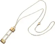 GLSTOY Stainless Steel Cremation Jewelry Necklace for Pet Ashes Memorial Urn Pendant with Glass Design Durable Keepsake Urn for Puppy Remembrance Finish