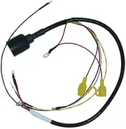 CDI Electronics 413-9915 Johnson/Evinrude Wiring Harness - 2 Cyl (1979-1984), Black