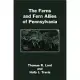 The Ferns And Fern Allies Of Pennsylvania