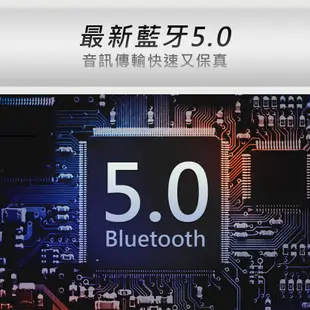 PHILIPS BT2003 飛利浦 藍牙喇叭 戶外喇叭 攜帶式喇叭 AUX IN TF卡 支援免持 (10折)