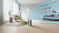 在飛比找樂天市場購物網優惠-【dyson 戴森】Purifier Cool Autore