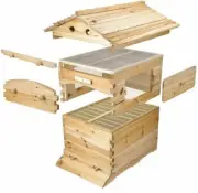 7x Upgraded Auto Honey Beehive Bee hive Frames + Beekeeping Brood Cedarwood Box