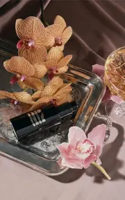 [The Beauty Sandwich] SS01 Secret Sauce Limited Edition 100ml