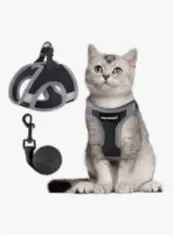 Cats and small dogs harness and leash set