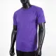 Champion [T425-81C] 男 短袖上衣 T恤 美規 高磅數 純棉 舒適 休閒 圓領 純色 穿搭 紫 S 紫