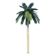Tall Artificial Royal Coconut Palm Tree (4m to 7m) UV Resistant - 6m