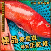 在飛比找蝦皮購物優惠-【潮鮮世代】澎湖野生東星斑(正紅條)／800~1000g／紅