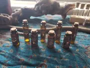 8 Glass Bottles With Cork and Witchy Labels 10ml
