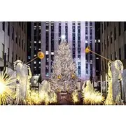 Save 20.00%! NYC Holiday Lights and Dyker Heights Luxury Bus Tour