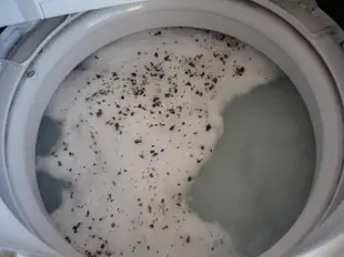 清洗劑洗衣機內缸清潔劑泡泡玉日本原裝進口清潔除異味波輪滾筒滿百包郵