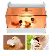 Poultry Chick Brooder Equipment For Birds/ Hand Raised Parrot/ Reptile/Chicks AU