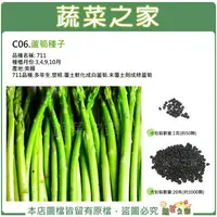 在飛比找樂天市場購物網優惠-【蔬菜之家】C06.蘆筍種子(有兩種規格可選)