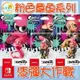 ●秋葉電玩● 現貨 NS Amiibo 粉色章魚 粉章男孩 粉章女孩 章魚 粉紅男孩 漆彈大作戰系列