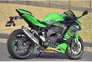 ZX25R SE 8BK-ZX250H G436-54-P3J R-EVO2 Slip-on Stainless Steel Silencer for Motorcycles