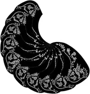 ERINGOGO 10Pcs Water Drop Shaped Guitar Protective Pickguard Scratch Plate for Acoustic Guitars Durable Scratch Guard Decals Decorative Design and Musicians