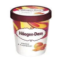 在飛比找家樂福線上購物網優惠-哈根達斯 芒果覆盆子冰淇淋 392g