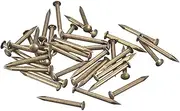 uxcell 120 Pcs Small Tiny Nails 2mmx20mm(DXL) Tiny Brass Nails Hardware Nails Small Nail for Wooden DIY Decorative Boxes Household Accessories, Bronze Tone