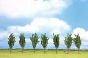 Noch 25098 Classic Series Deciduous Tree Economy Pack